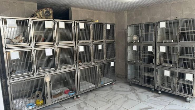 ADIYAMAN BELEDİYESİ SOKAK HAYVANLARINA GÜVENLİ YUVA SAĞLADI
