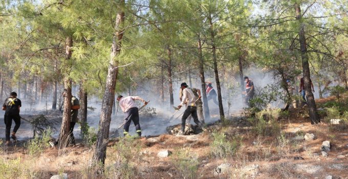 Besni ve Tut’ta  yangın: 200 hektar alan kül oldu, fıstık ve incir bahçeleri zarar gördü