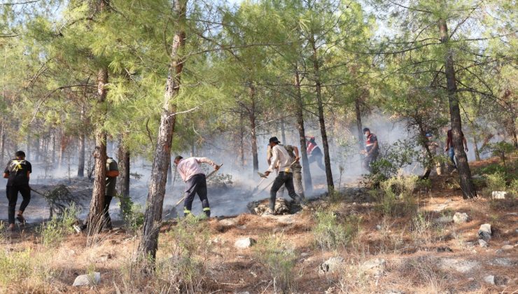 Besni ve Tut’ta  yangın: 200 hektar alan kül oldu, fıstık ve incir bahçeleri zarar gördü